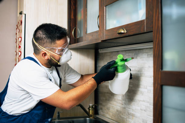 Best Affordable Pest Control Services  in Nashville, MI
