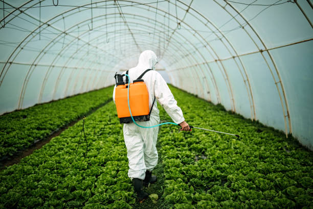 Pest Control for Restaurants in Nashville, MI