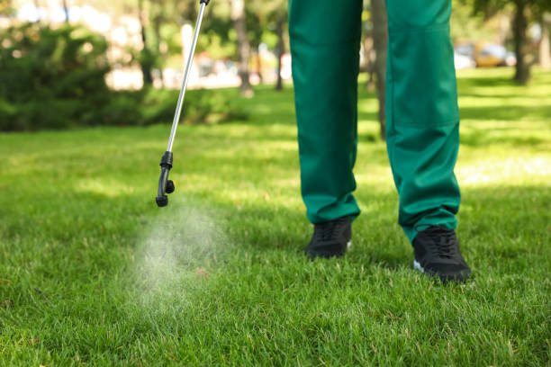 Reliable Nashville, MI Pest Control Solutions