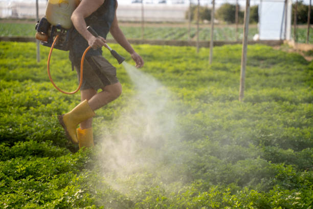 Best Mosquito Control Services  in Nashville, MI