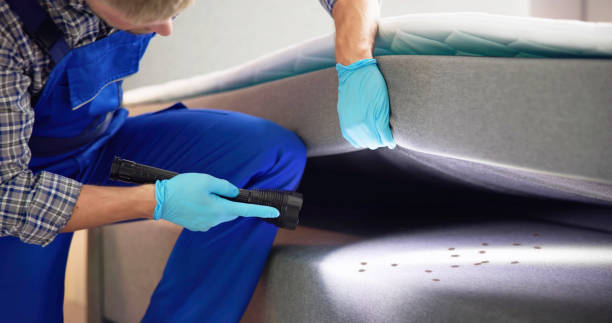 Best Cockroach Control Services  in Nashville, MI