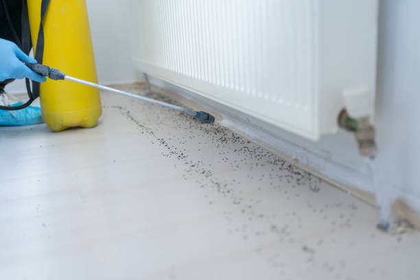 Best Pest Control for Restaurants  in Nashville, MI