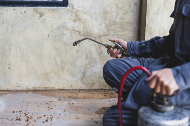 Best Exterminator Services  in Nashville, MI